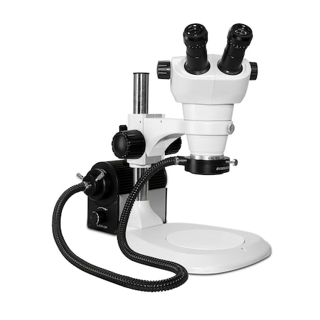 Scienscope NZ Stereo Zoom Binocular With Fiber-Optic LED Light On Lab Stand NZ-PK1-AN